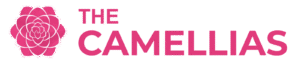 DLF Camellias